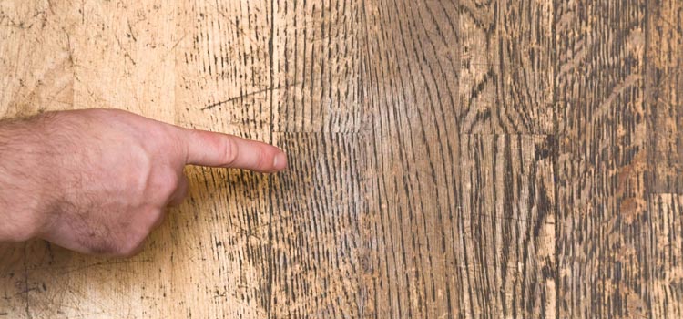 Wood Door Scratch Repair in Corcoran
